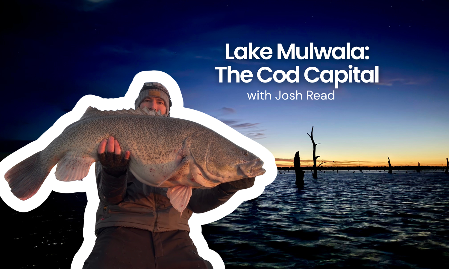 Lake Mulwala: The Cod Capital