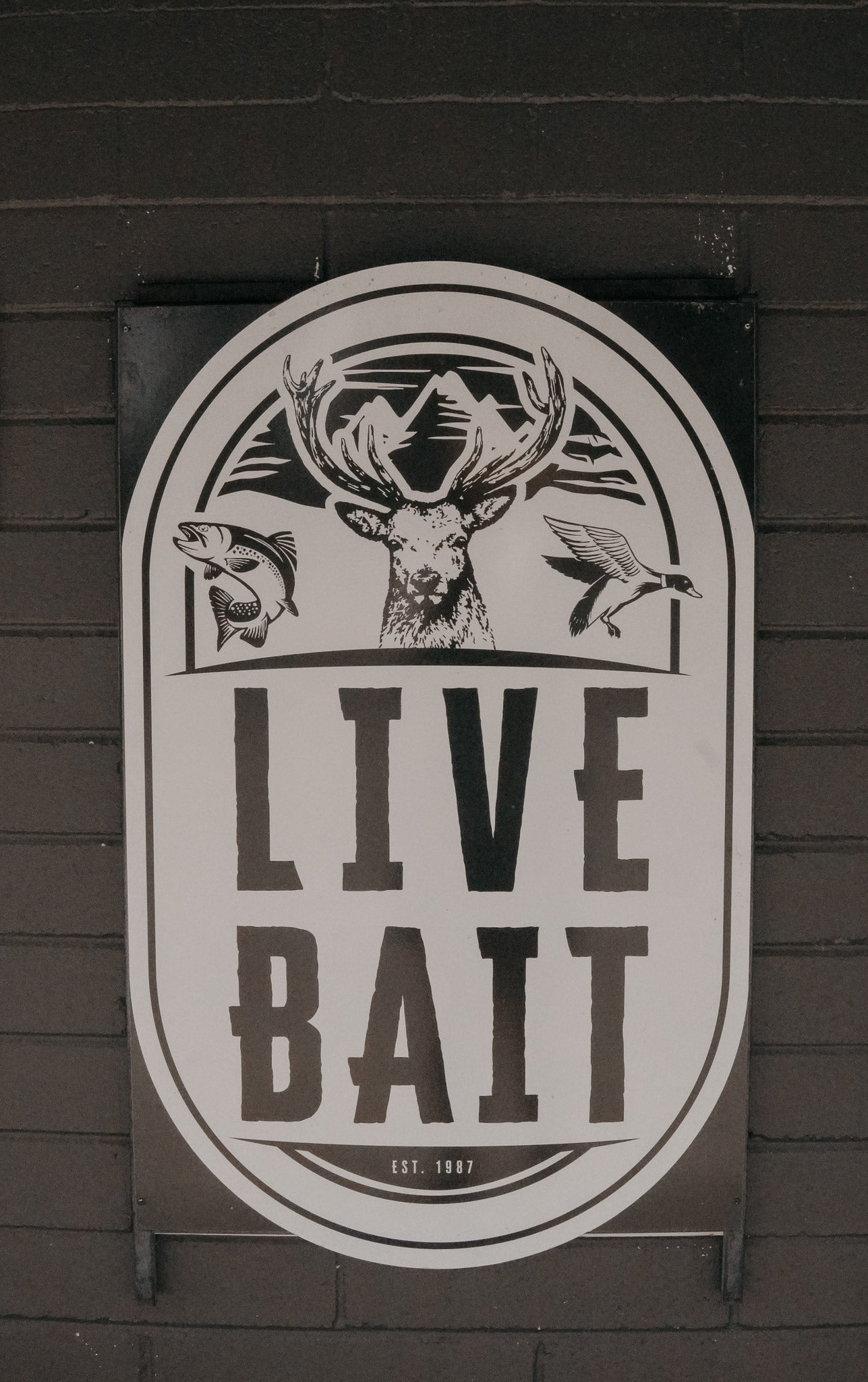 LIVE BAIT