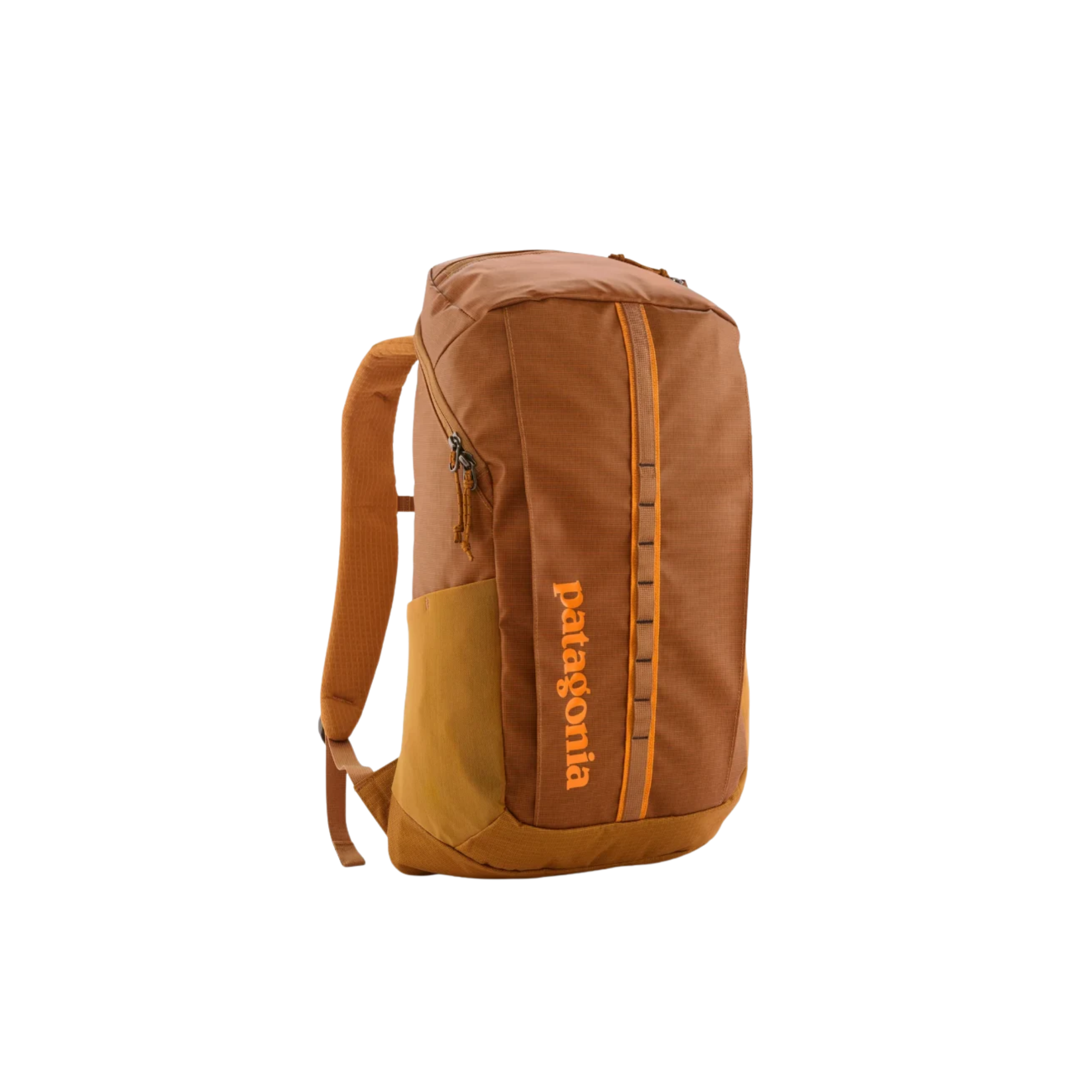Patagonia Black Hole Pack 25L