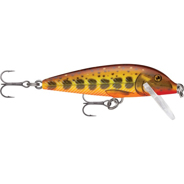 Rapala Countdown CD05 Hardbody Lure [Cl:HOT MUSTARD MUDDLER]