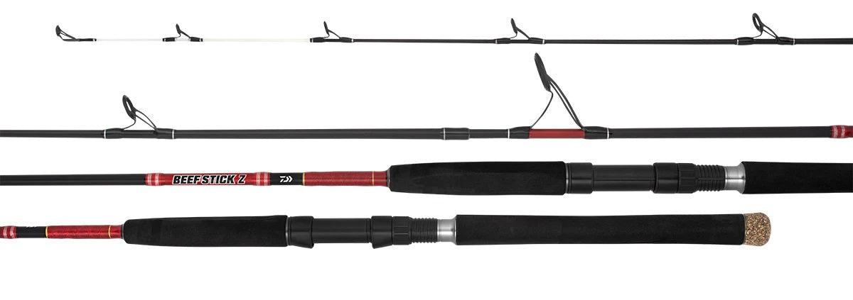 DAIWA 21 BEEFSTICK SPIN ROD [Sz:702LS]