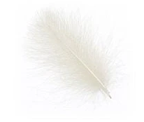 Wapsi Cdc [cl:natural White]