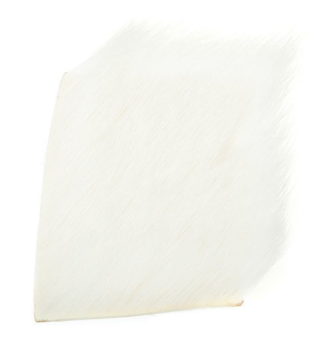 Waspi Calf Body Hair [cl:white]
