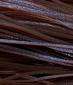 Wapsi Sili Legs Nymph Brown Solid [cl:solid Brown]