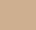 Wapsi Fly Foam 2mm Tan [sz:2mm Cl:tan]