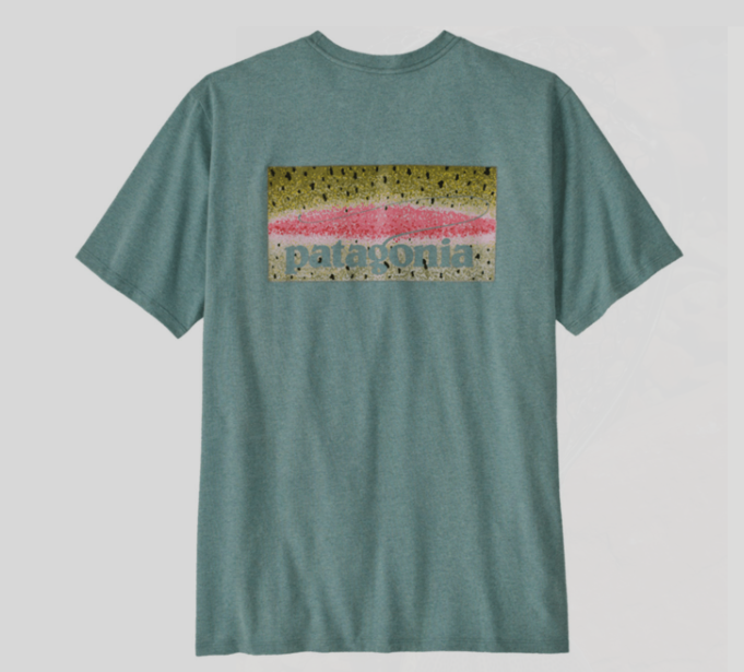 Patagonia Men's Take A Stand Responsibili-tee [sz:s Cl:blue Sage]