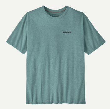 Patagonia Men's Take A Stand Responsibili-tee [sz:s Cl:blue Sage]