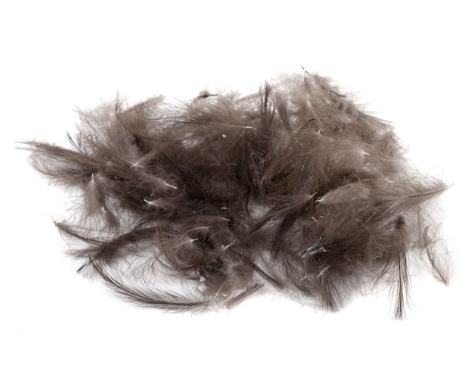 Hends Cdc Feathers 1gr [cl:nature Grey 01]