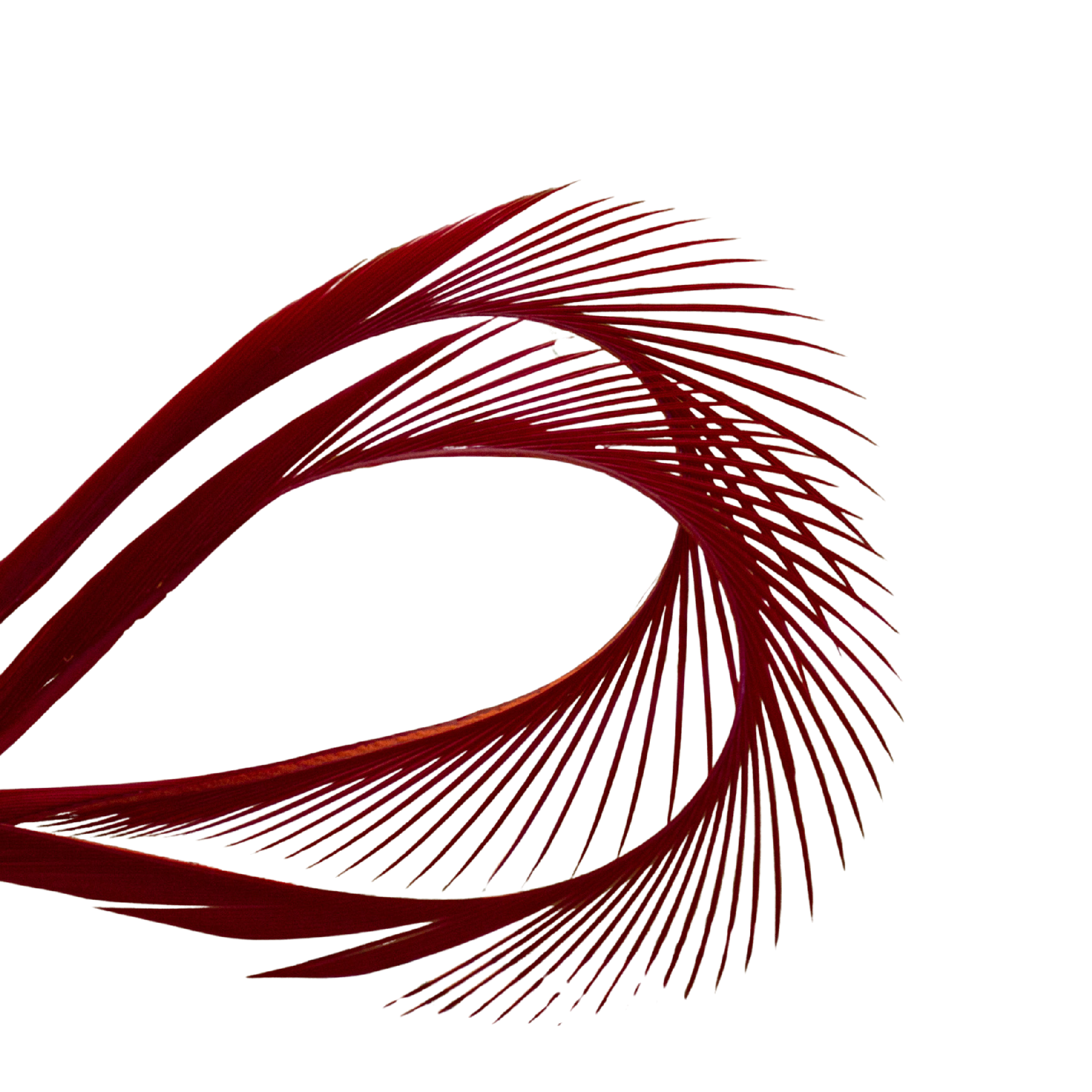 Hends Turkey Boits [cl:red/08]