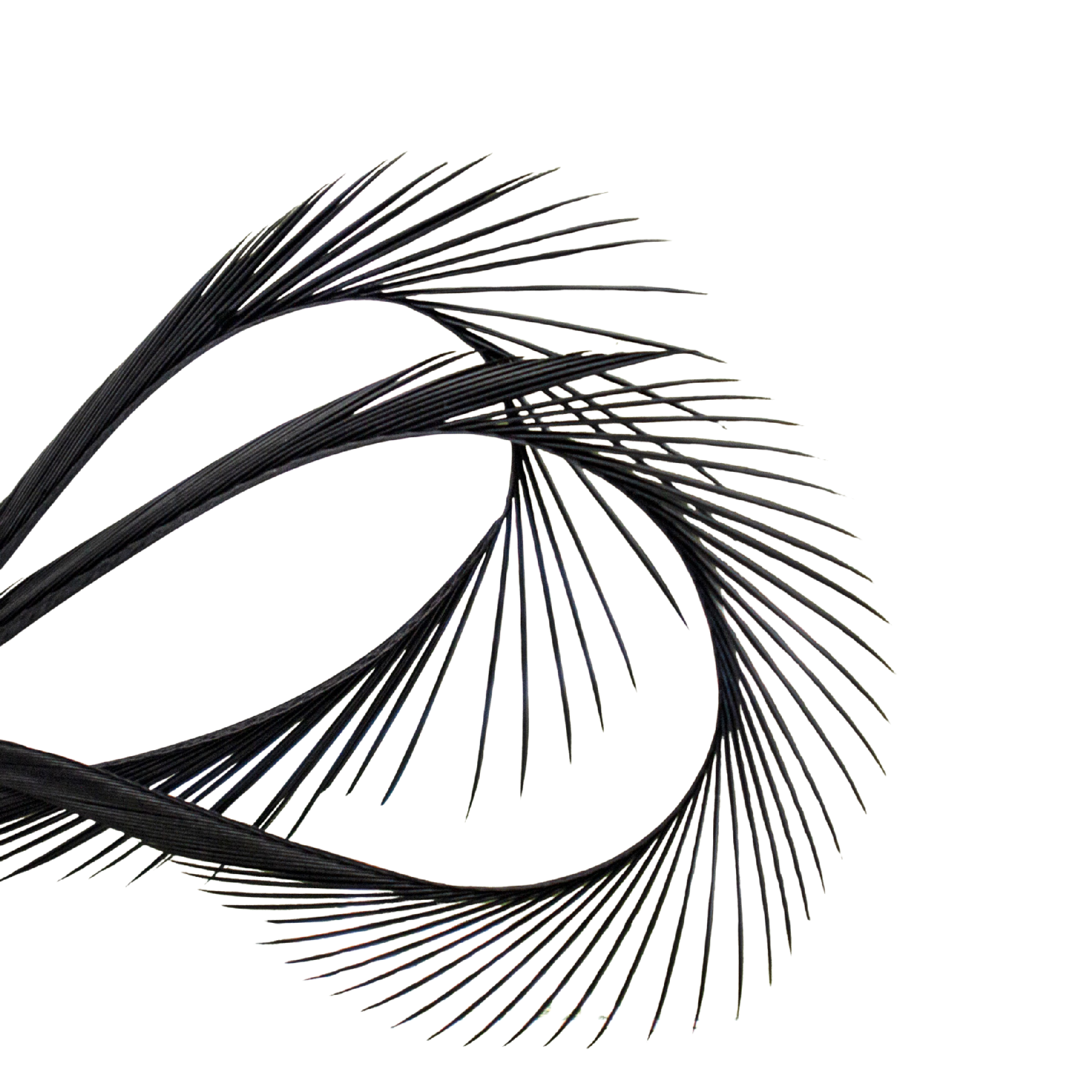 Hends Turkey Boits [cl:black/30]