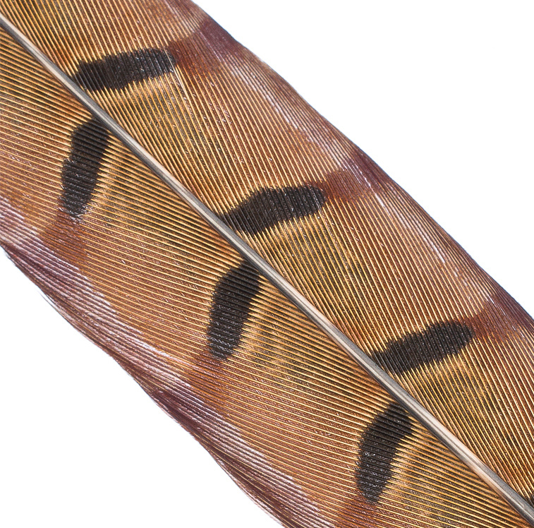 Hends Pheasant Tail [cl:natural/01]