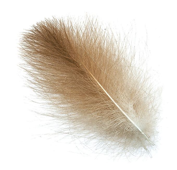 Hends Cdc Natural Feathers 25 Pcs [cl:natural Brown - 08]