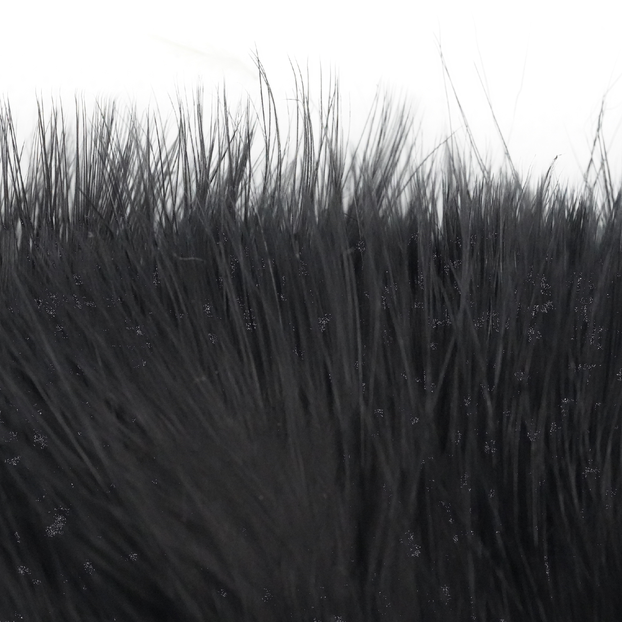 Tiewell Strung Marabou [cl:black]