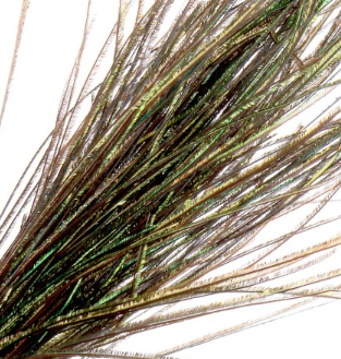 Hends Peacock Herl 1pc [cl:orange - 02]