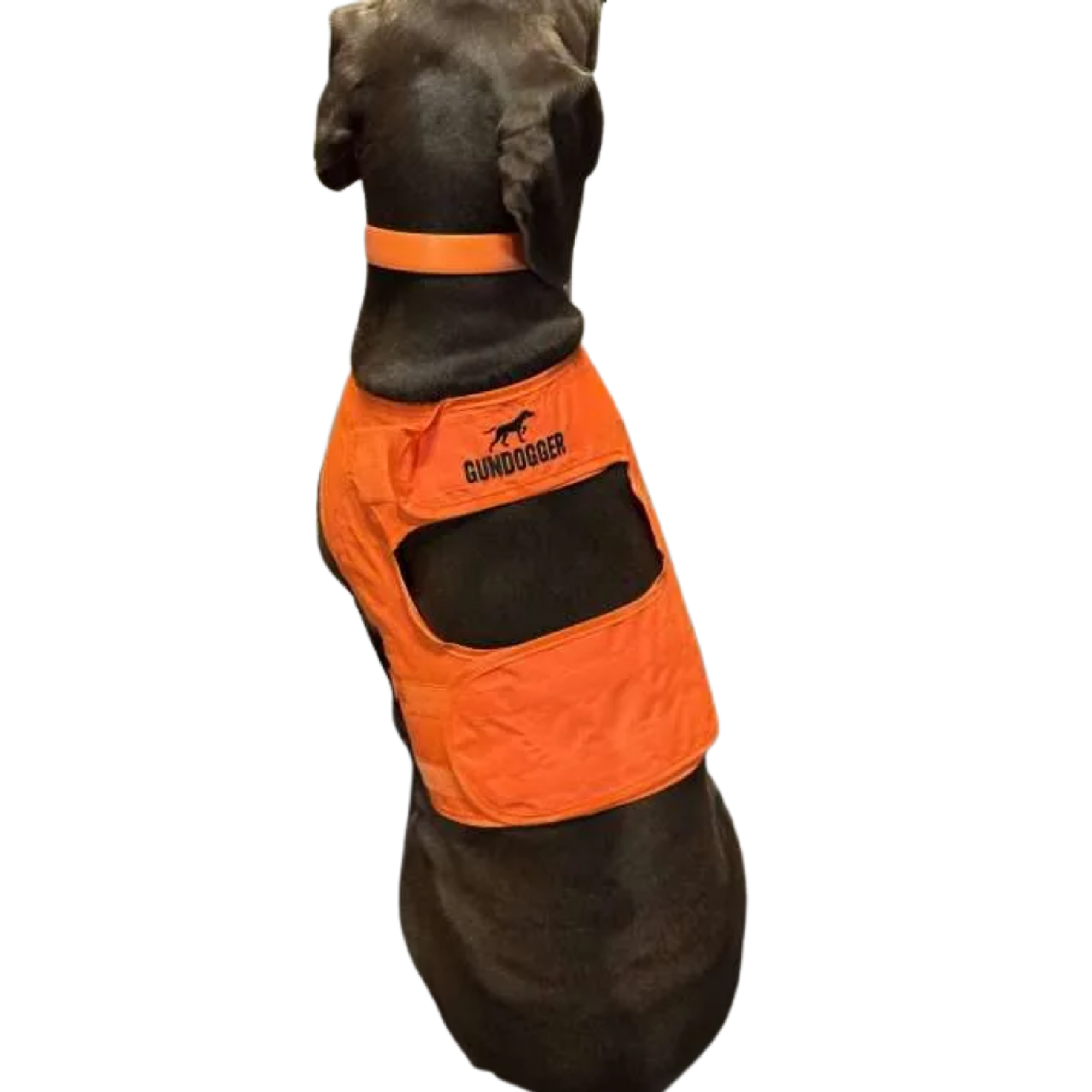 Gundog Gear Gundog Safety Vest [sz:m Cl:blaze Orange]