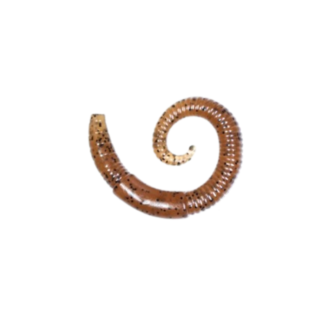 Lunkerhunt River Worm [cl:pumpkin]