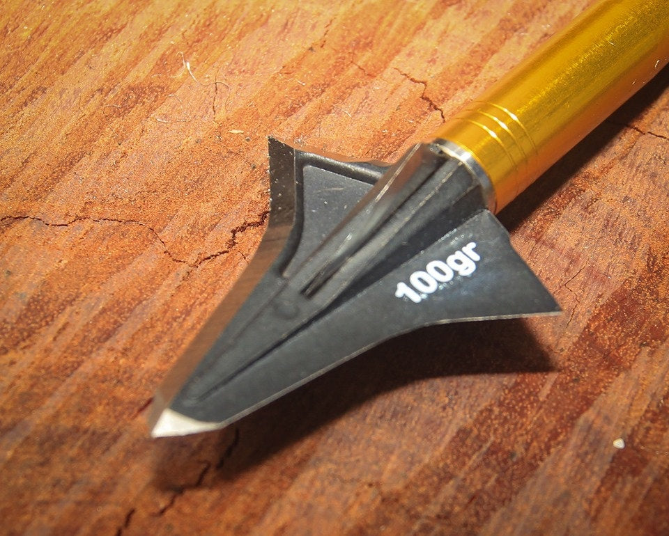 Kayuga Pilot Cut Gen 2 [wt:100gr]