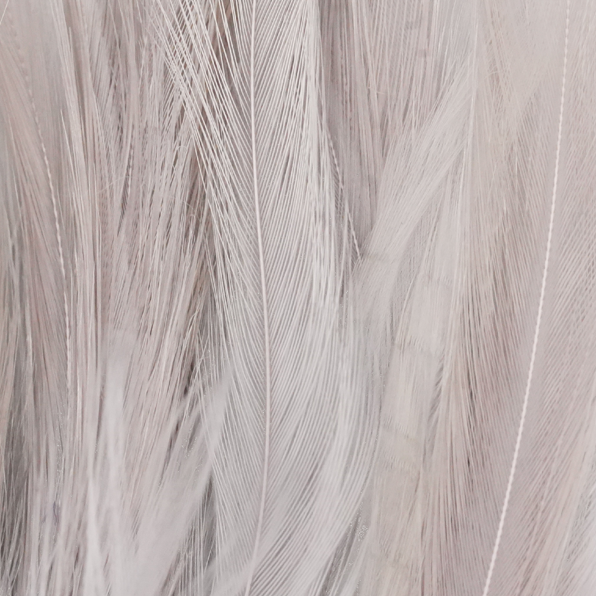 Tiewell Strung Saddle Feathers Long [cl:grey]