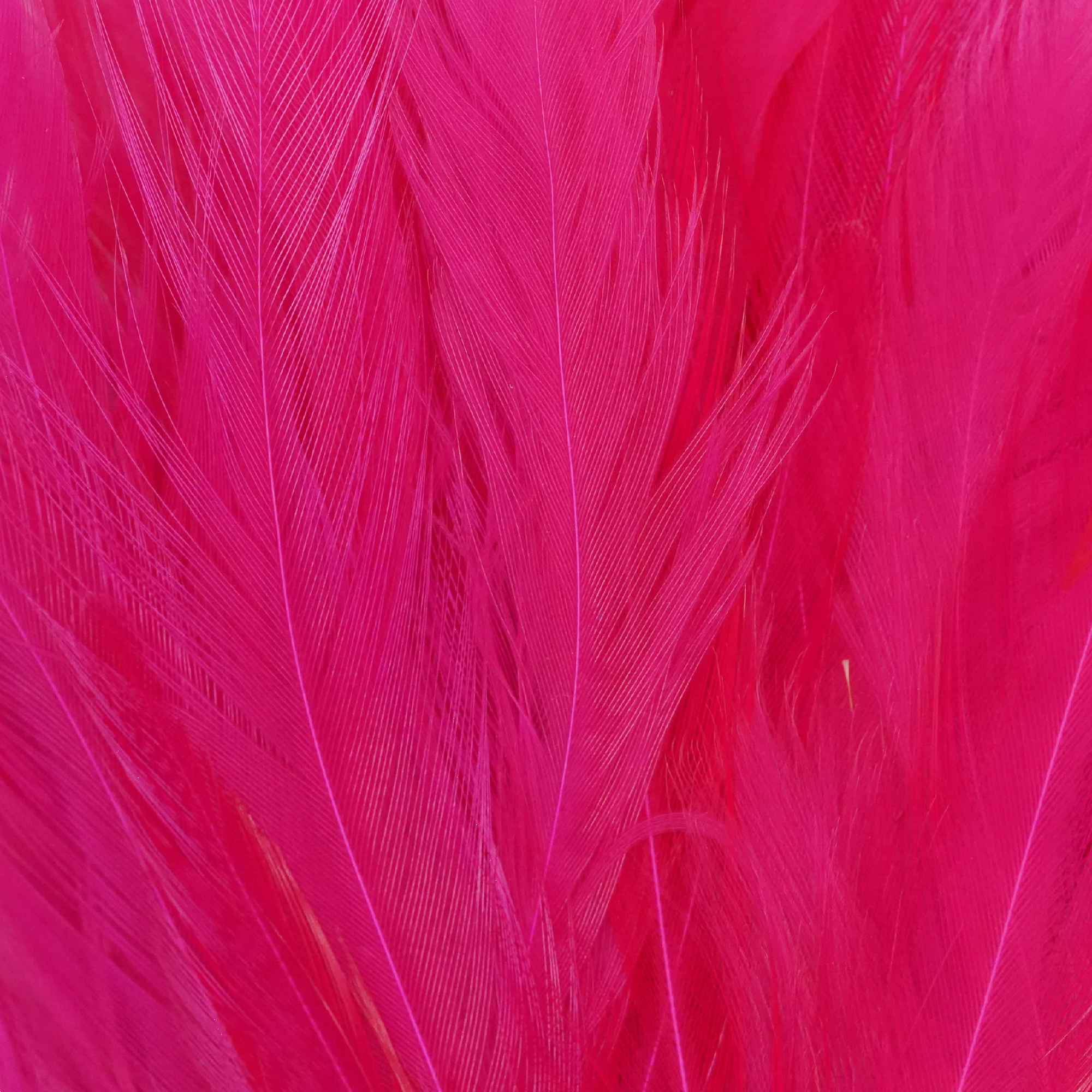 Tiewell Strung Saddle Feathers Long [cl:pink]