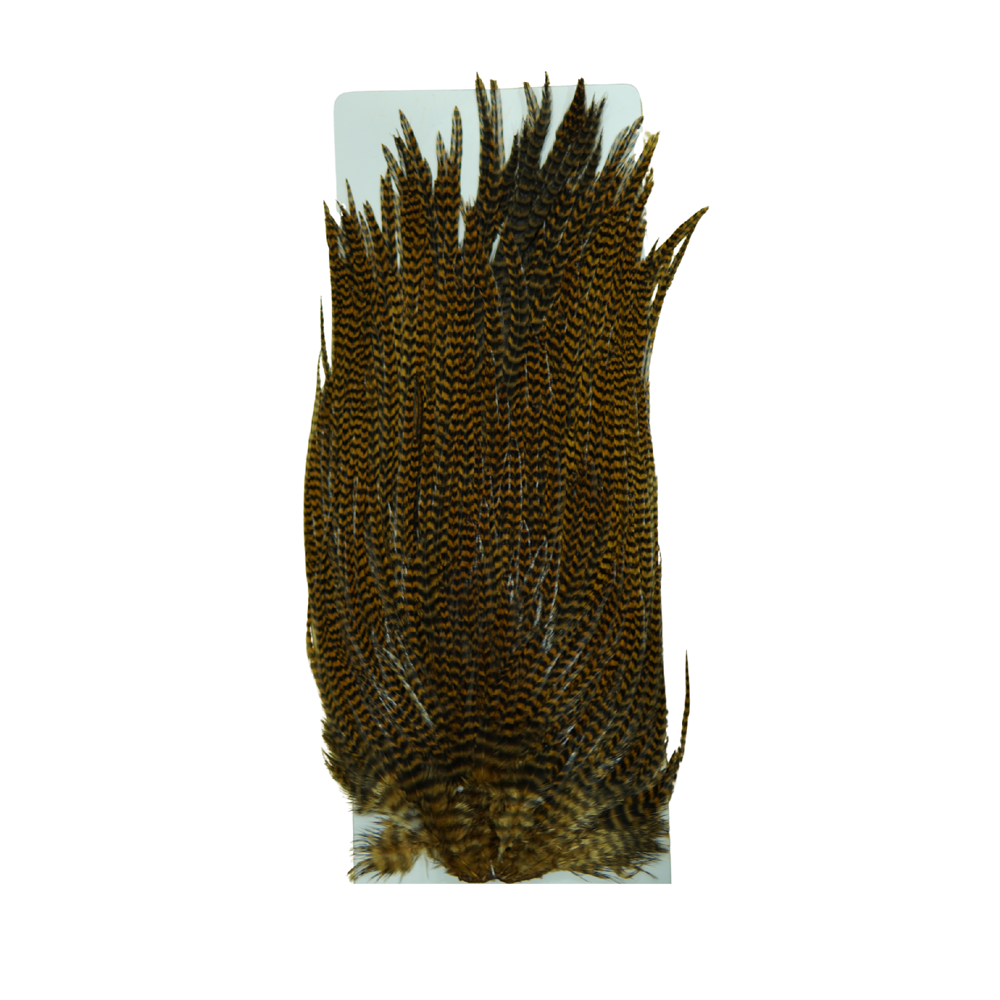 Ewing Hackle Saddle Grizzly [cl:ginger]