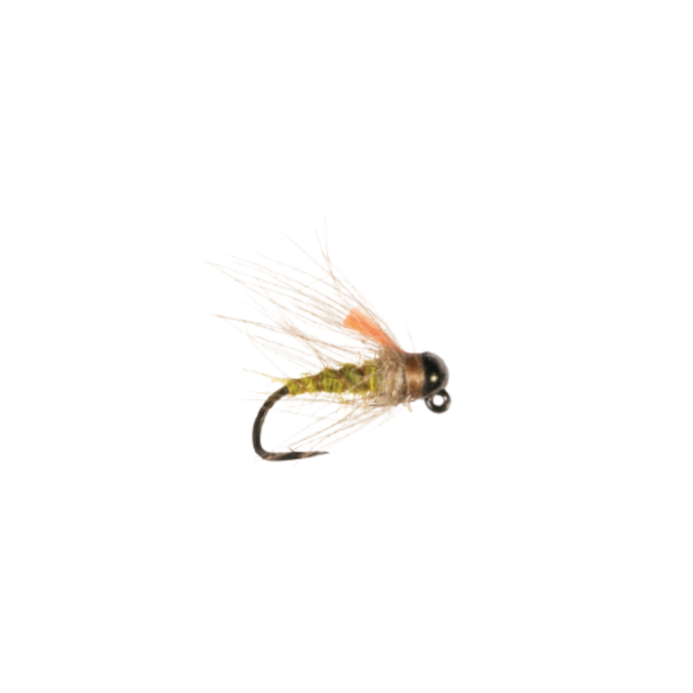 Category 3 Gummers Carpet Caddis BTB