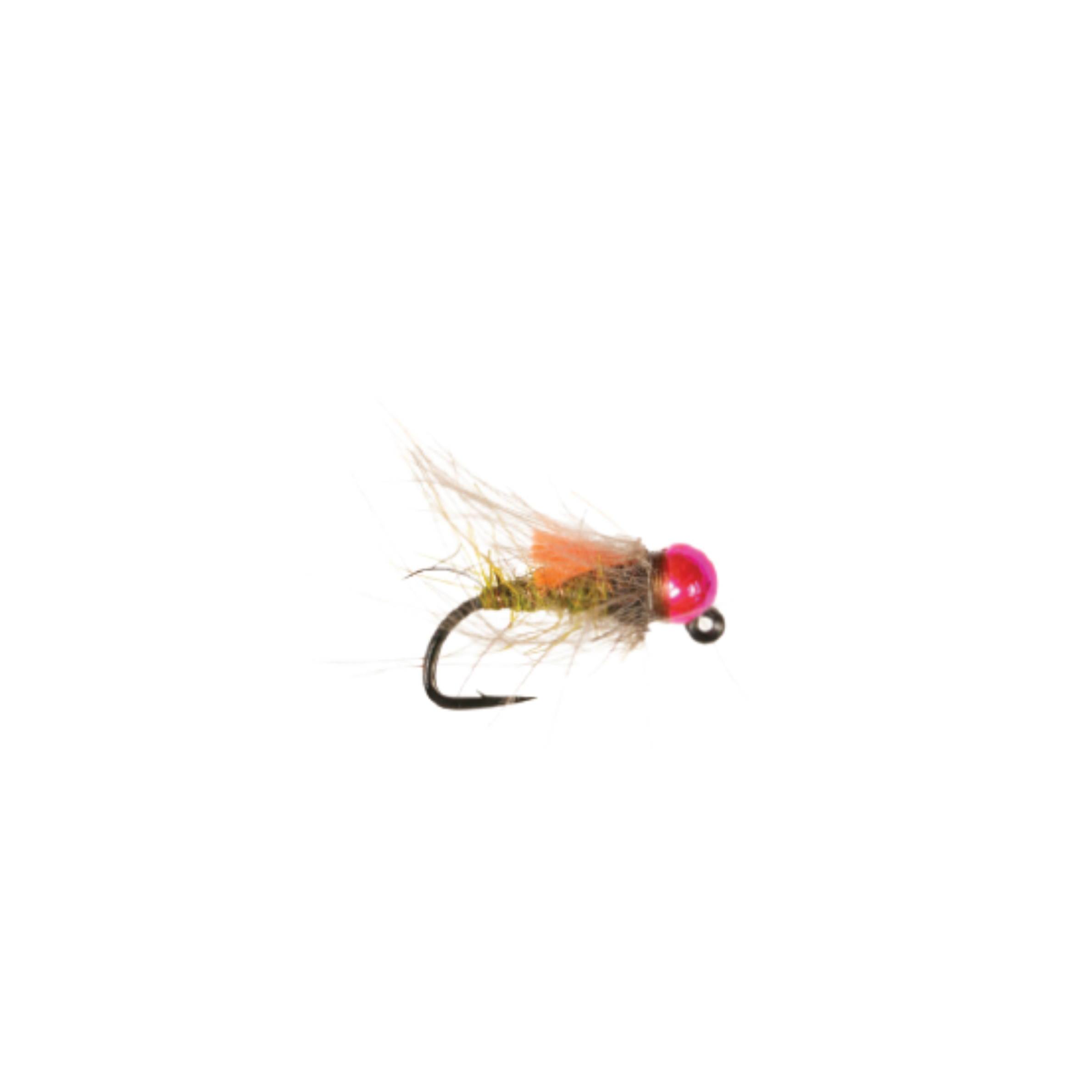 Category 3 Gummers Carpet Caddis PTB