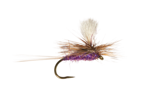 Category 3 Border Patrol Purple