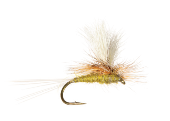 Category 3 Border Patrol Olive