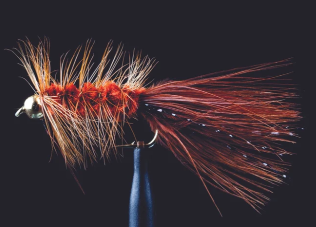 Manic Tackle BH Woolly Bugger Brown Fishing Fly