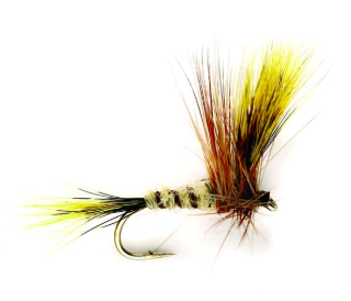 Fulling Mill Mayfly Corrib Wulff Fly