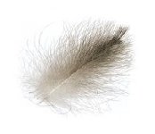 Wapsi CDC Feathers