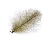 Wapsi CDC Feathers