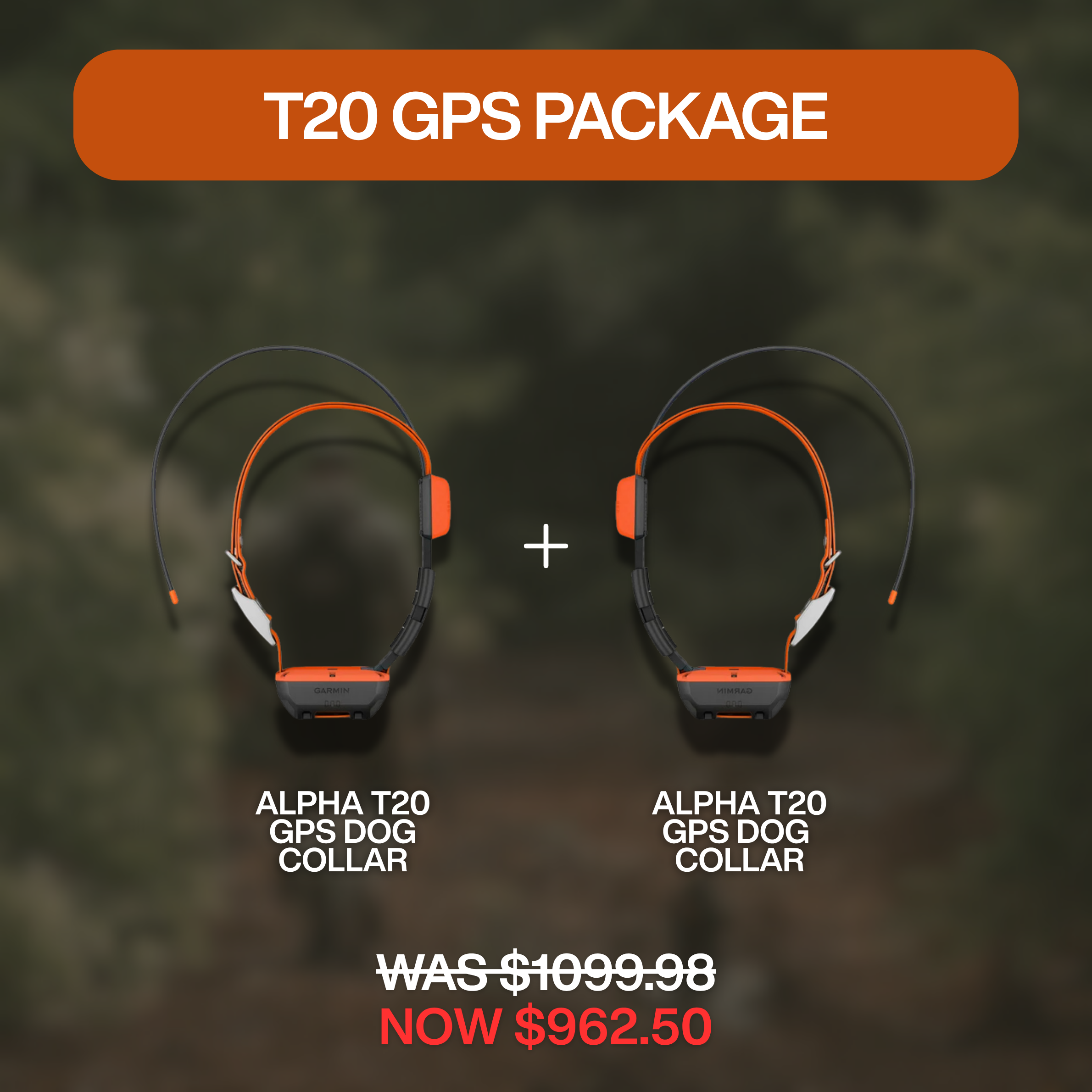 GARMIN PACKAGE - Alpha T 20 X2