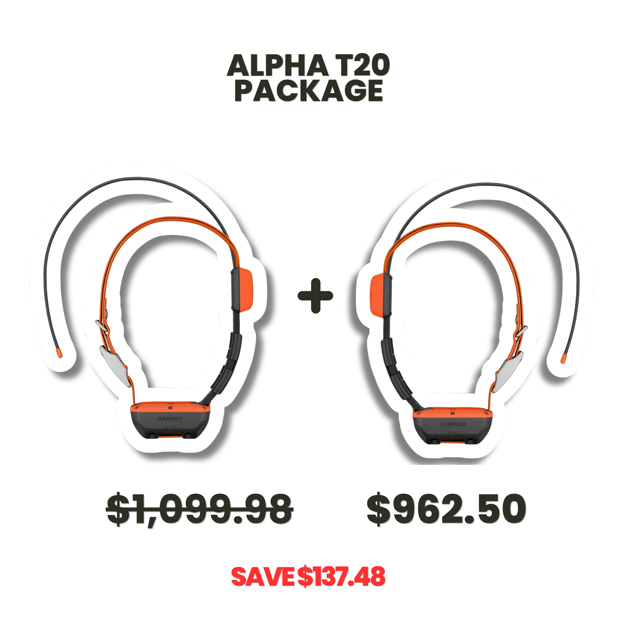GARMIN PACKAGE - ALPHA T 20 X2